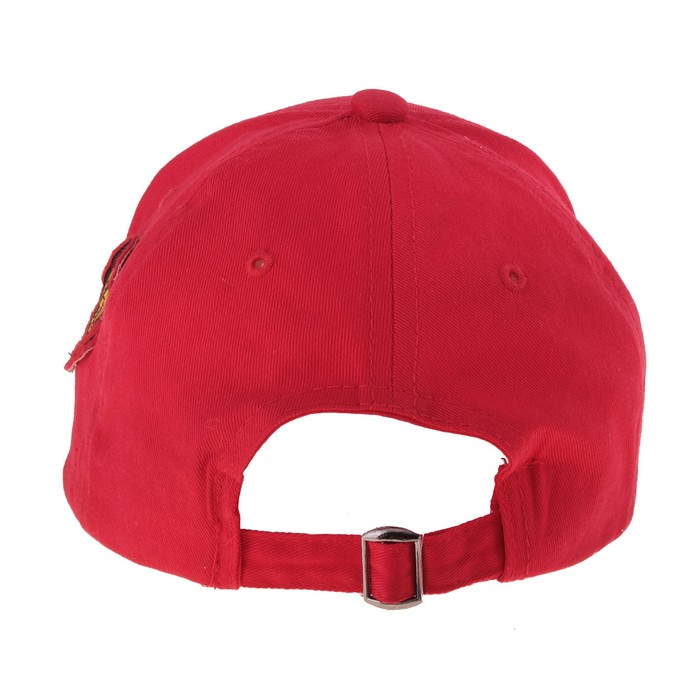 Кепка мужская "Царь" с вышивкой