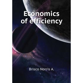 

Книга Economics of efficiency