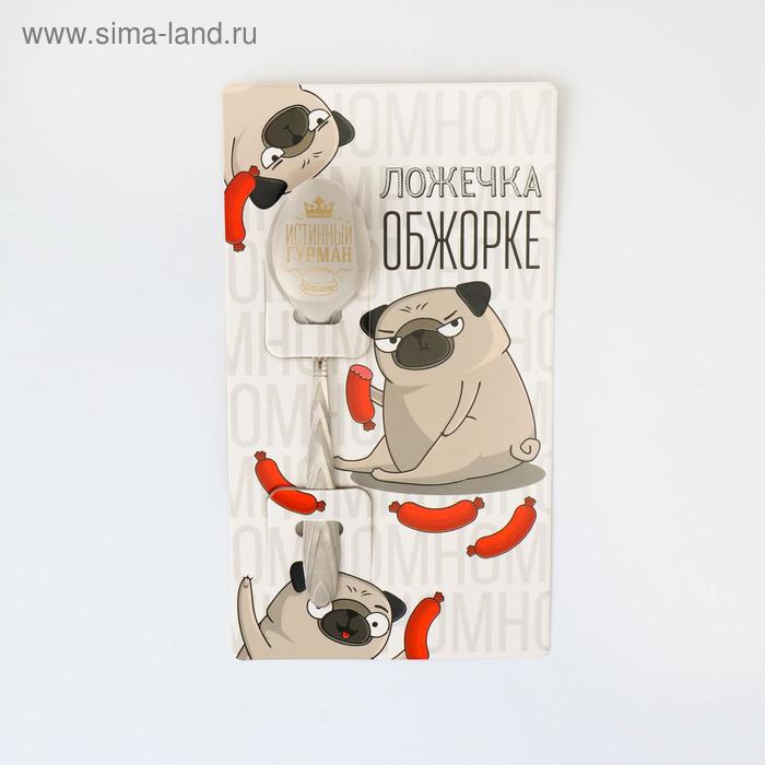 

Ложка подарочная на открытке "Ложечка обжорка", 3 х 14 см