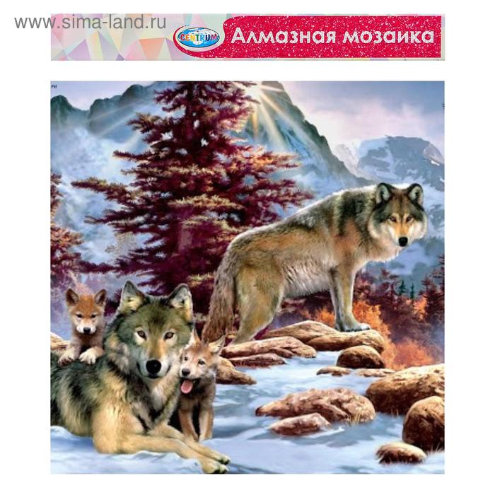 

Алмазная мозаика без подрамника, частичное заполнение «Волки» 30×40 см