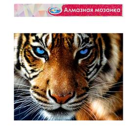 

Алмазная мозаика без подрамника, частичное заполнение «Тигр» 40×50 см