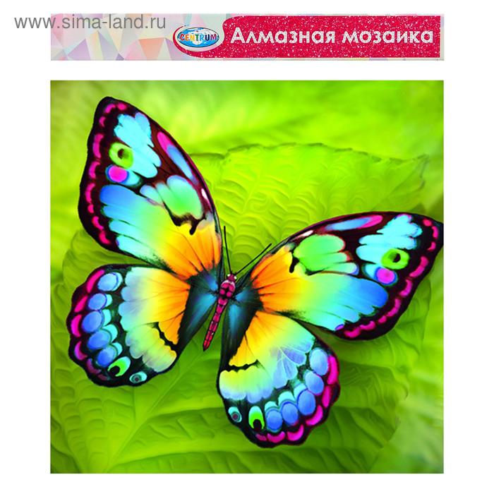 

Алмазная мозаика без подрамника, частичное заполнение «Бабочка» 40×50 см
