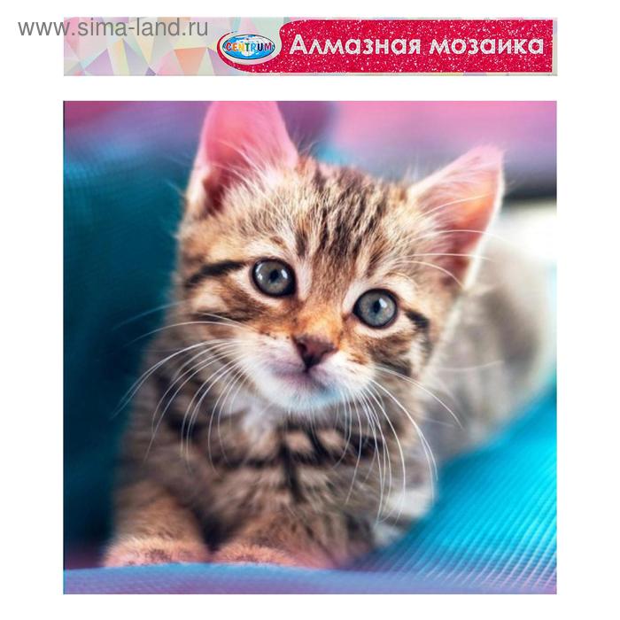 

Алмазная мозаика без подрамника, частичное заполнение «Котёнок» 40×50 см