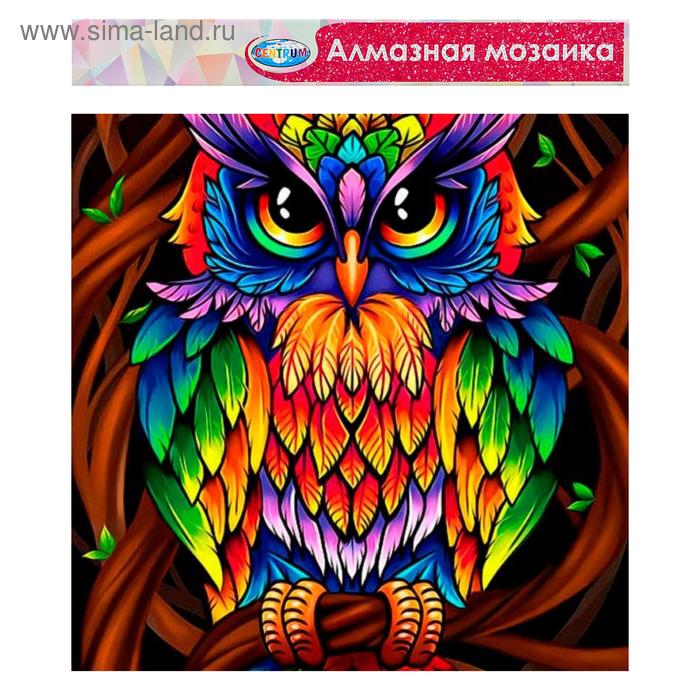 

Алмазная мозаика без подрамника, частичное заполнение «Сова» 40×50 см