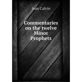

Книга Commentaries on the twelve Minor Prophets