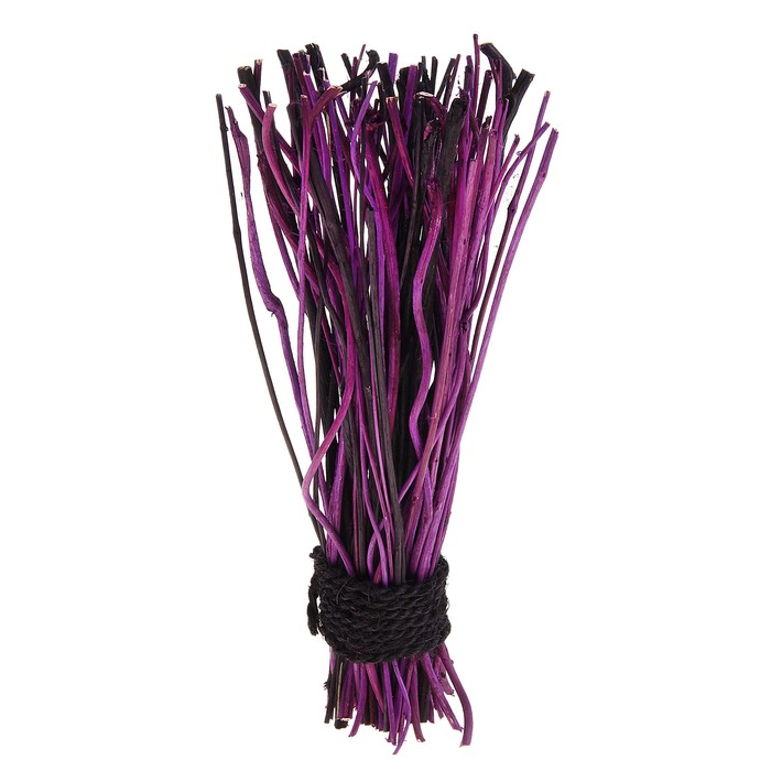 Сухоцветы "Линии жизни"