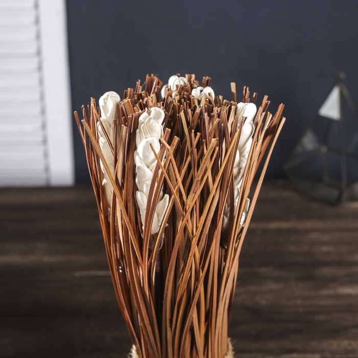 Сухоцветы "Волшебный лес"