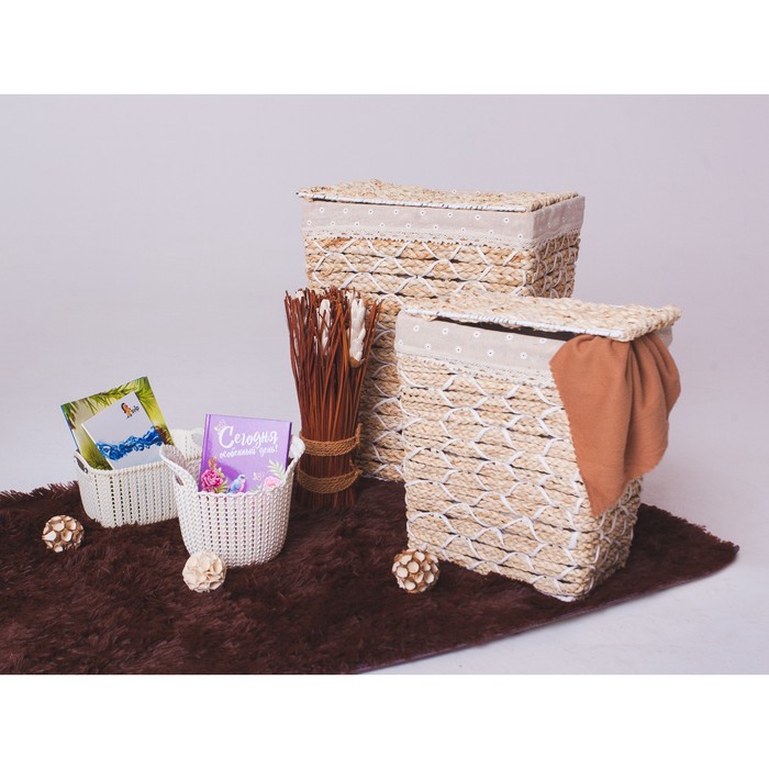 Сухоцветы "Волшебный лес"