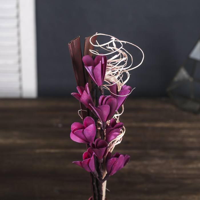 Сухоцветы "Сновидения", бордо