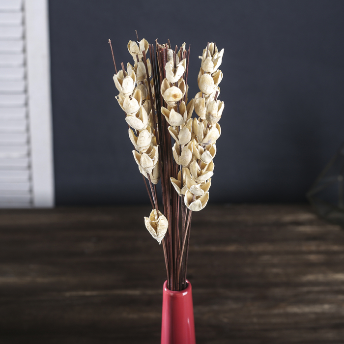 Сухоцветы "Венец", классика