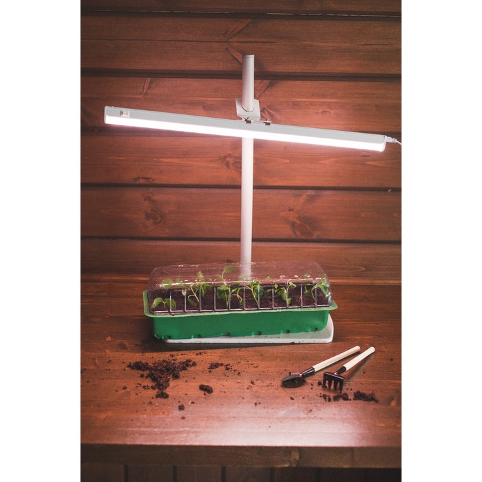 Минипарник для рассады, 2 вставки, 12 ячеек, 40 х 14 см, «Усадьба»