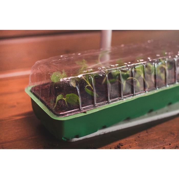 Минипарник для рассады, 2 вставки, 12 ячеек, 40 х 14 см, «Усадьба»