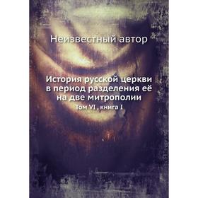 

История русской церкви в период разделения её на две митрополии. Том VI. Книга I