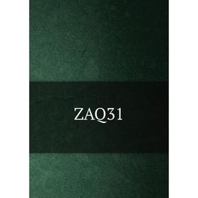 

Книга ZAQ31