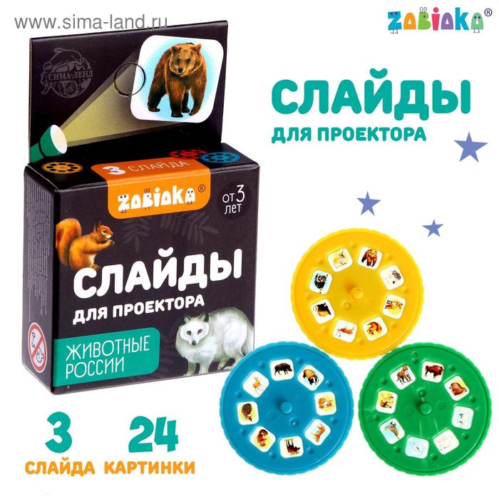 Слайды для проектора «Животные России», набор слайды для проектора животные россии набор
