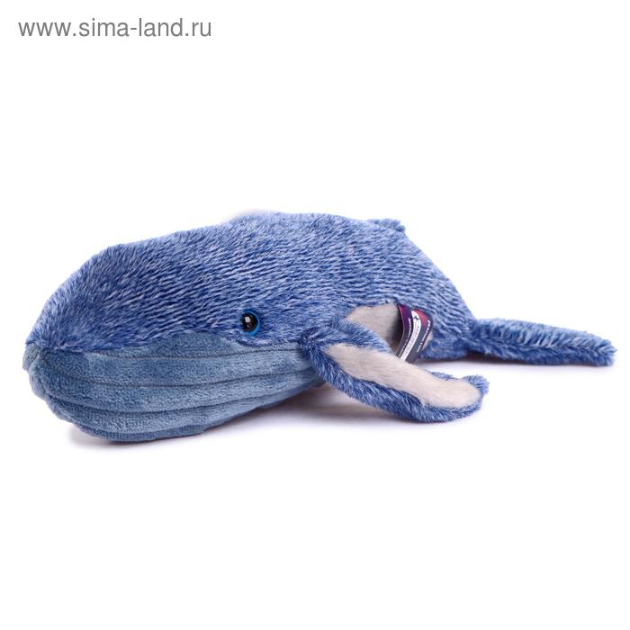 Мягкая игрушка «Кит», 25 см, цвет голубой