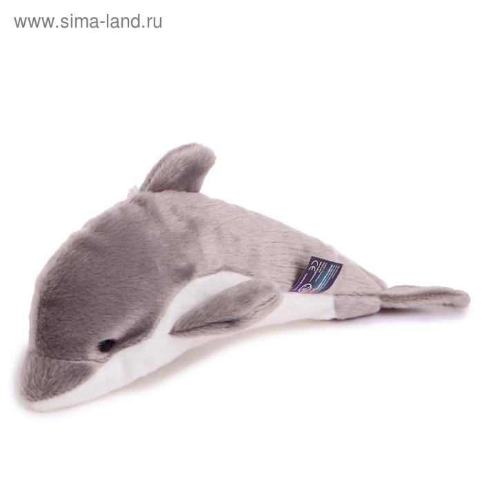 Мягкая игрушка «Дельфин», 25 см
