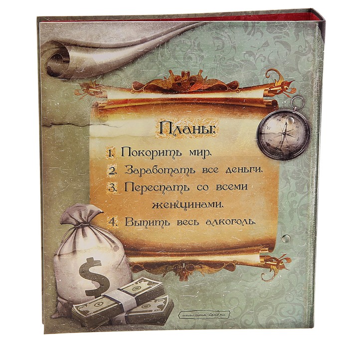 Папка на 2 кольцах "Мои наполеоновские планы", А4