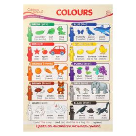 

Плакат "Colours" А3