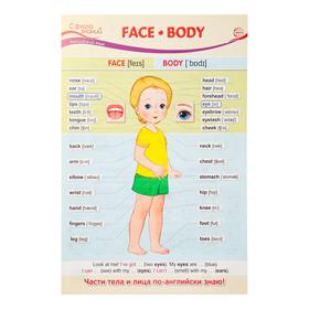 

Плакат "Face. Body" А3