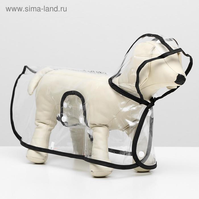 Дождевик для собак, размер XL (ДС 35, ОГ 46-50, ОШ 45 см)