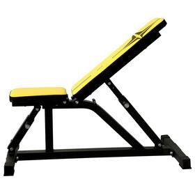 

Скамья силовая универсальная DFC yellow DZ003Y