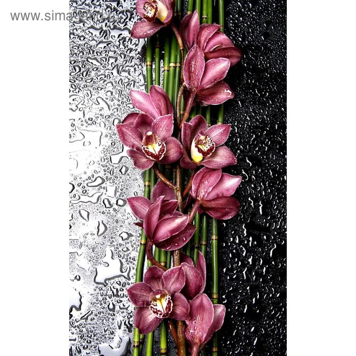 Фотообои флизелиновые 3D Flizetto Дикая Орхидея 200х270