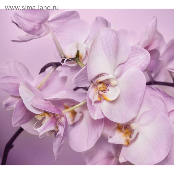 Фотообои флизелиновые 3D Flizetto Нежная Орхидея 300х270
