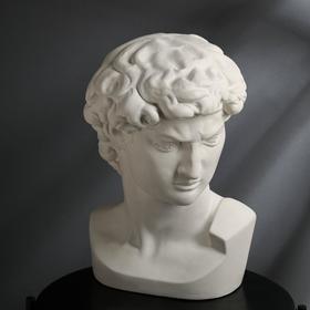 

Гипсовая фигура "Голова Давида" 30х30х45 см, белая