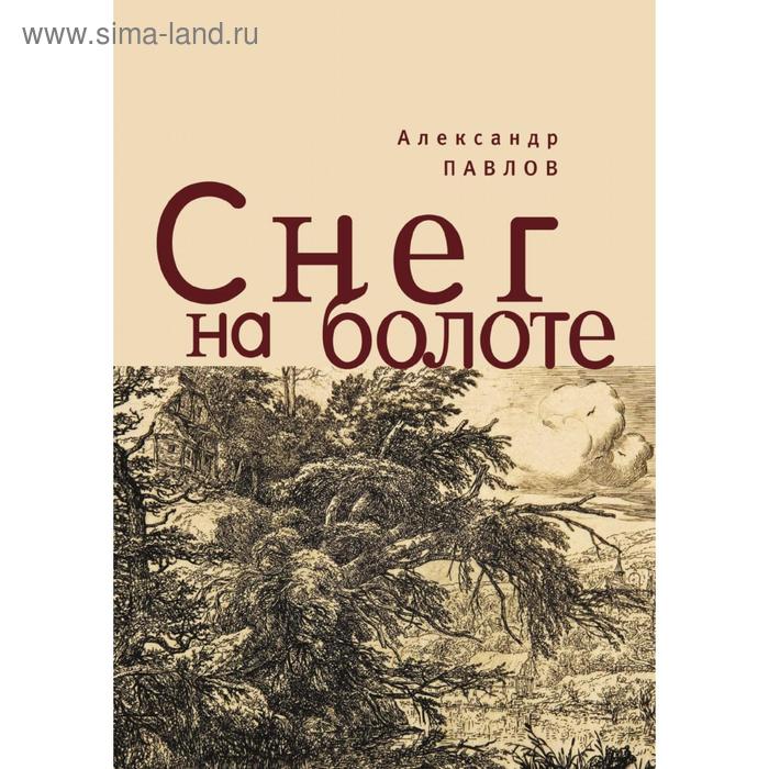 Снег на болоте. А. Павлов