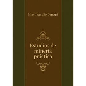 

Книга Estudios de minería práctica. Marco Aurelio Denegri