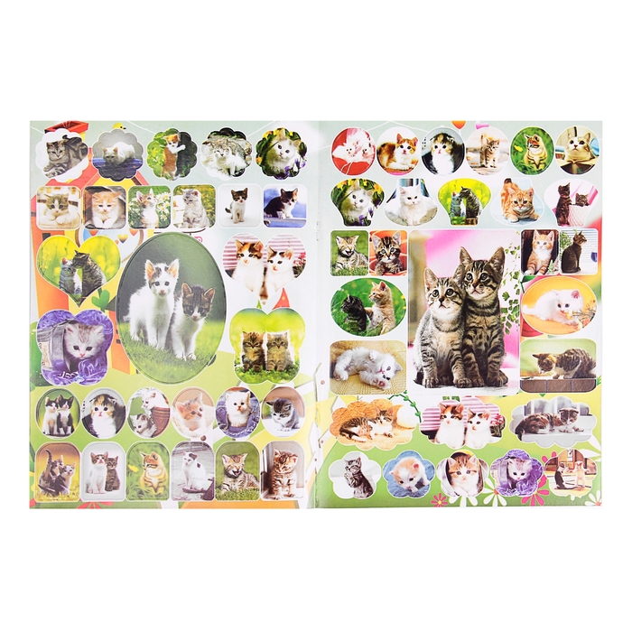 Раскраска формат А4 10 листов с наклейками Киски МИКС