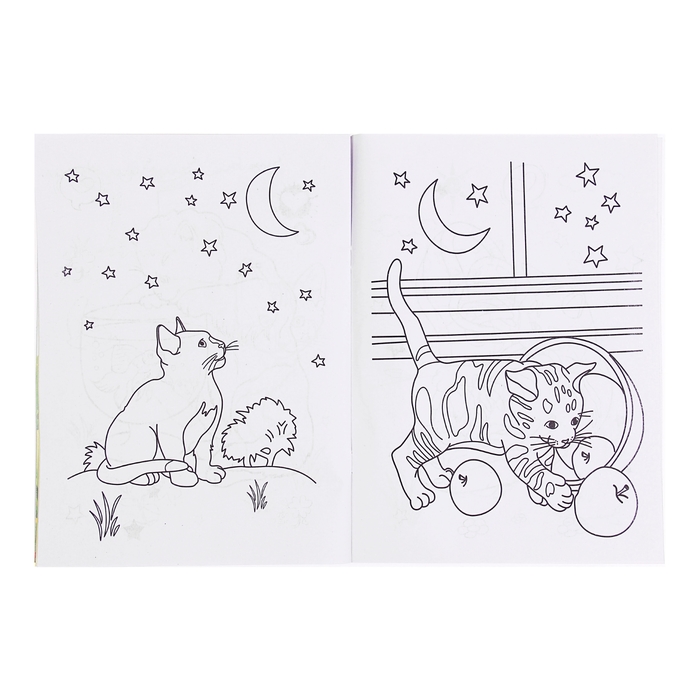 Раскраска формат А4 10 листов с наклейками Киски МИКС