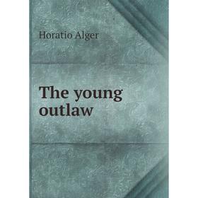 

Книга The young outlaw. Alger Horatio