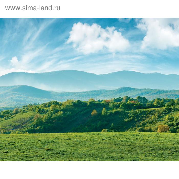 

Фотосетка, 250 × 200 см, с фотопечатью, люверсы шаг 1 м, «Луг и облака», Greengo