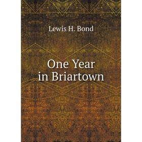 

Книга One Year in Briartown