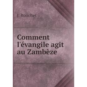 

Книга Comment l'évangile agit au Zambèze. J. Bouchet