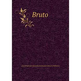 

Книга Bruto. José Pedro de Azevedo Sousa da Câmara Voltaire