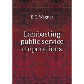 

Книга Lambasting public service corporations