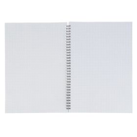 

Тетрадь А4, 96 листов клетка на гребне, офсет №1, 100% обложка мелованный картон, УФ-лак, МИКС