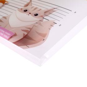 

Папка-конверт на молнии А4 deVENTE "Cat collection", белая
