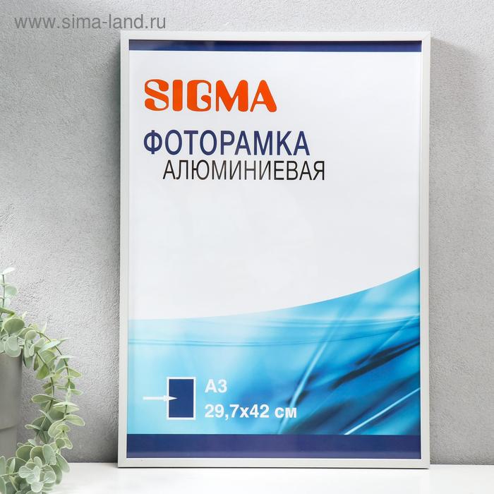 

Фоторамка алюминий SIGMA 29,7х42 см, (A3)