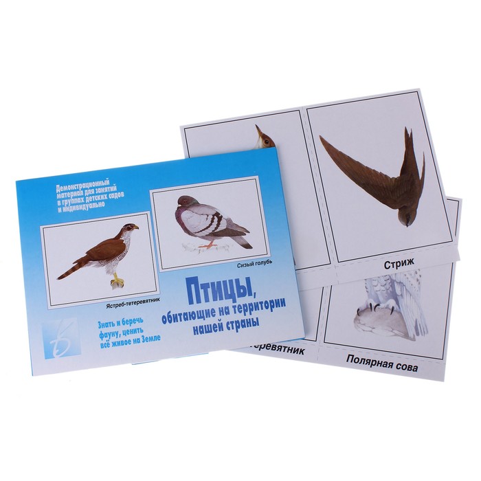 Настольная игра "Птицы нашей страны"