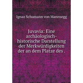 

Книга Juvavia: Eine archäologisch-historische Darstellung der Merkwürdigkeiten der an dem Platze des.