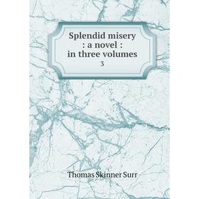 

Книга Splendid misery: a novel: in three volumes 3