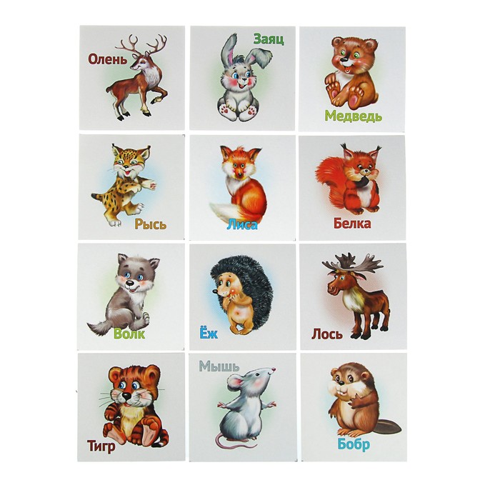 Развивающие карточки для малышей «Дикие животные» (12 штук)