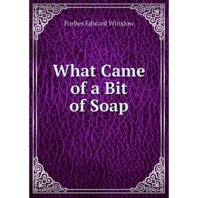 

Книга What Came of a Bit of Soap