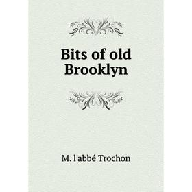 

Книга Bits of old Brooklyn