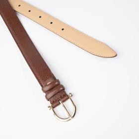 

Ремень женский, ширина 2,5 см, винт, пряжка металл, цвет коричневый
