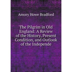 

Книга The Pilgrim in Old England: A Review of the History, Present Condition, and Outlook of the Independe